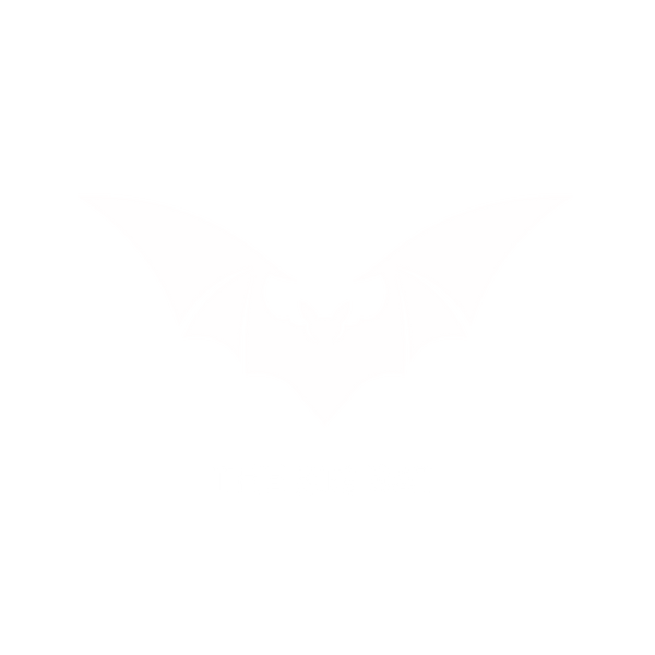 The Big Bat